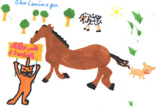 Auteur : Elise Lemenager